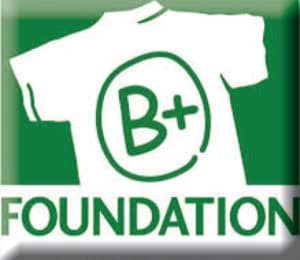 B-FOUNDATION-EDITED-300x260-1