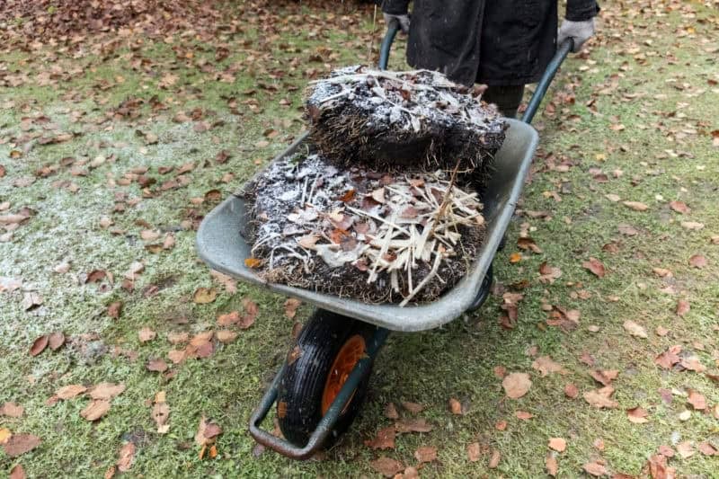 Clean-Your-Yard-Periodically-e1546545123921