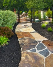 DI-Pepper-20-236x300