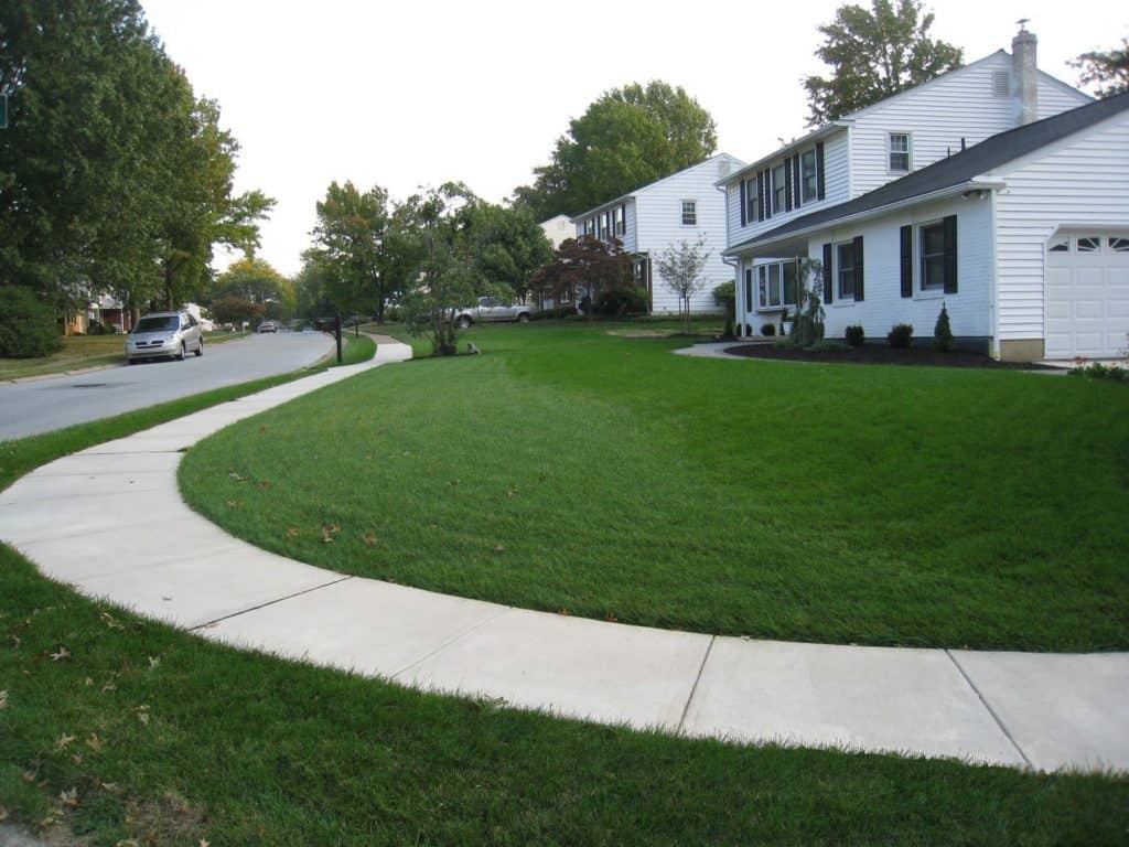 From leaking basements to swarms of mosquitos, poor drainage can cost you many headaches and thousands of dollars in damages. And these problems won’t go away until they’re properly addressed. Choose the right landscaping firm to find the root cause of your drainage issues. Experienced landscape professional will be able to assess your grading, design a custom plan to address it, and implement the most efficient ways to control erosion to prevent potential flooding and water damage.