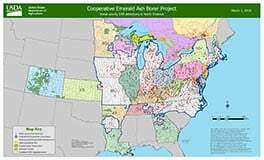 Emerald-Ash-Borer-E.A.B.-has-been-confirmed-in-Delaware