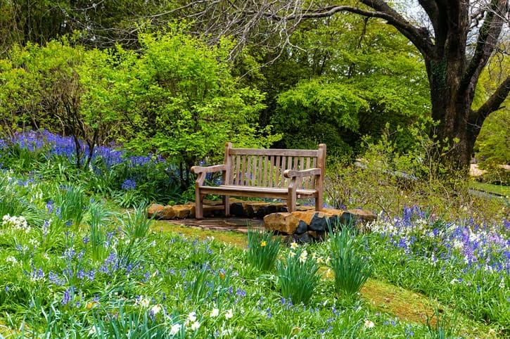 Secluded-garden-bench