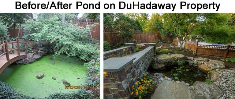 befor-after_edited-2