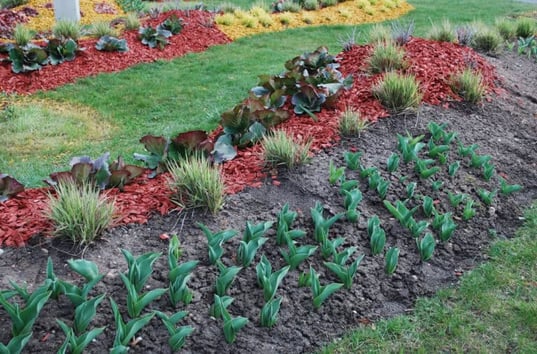 iStock-521999352-768x507