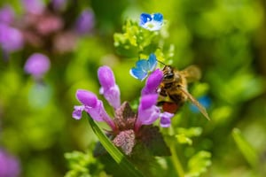 iStock-660765322-768x512