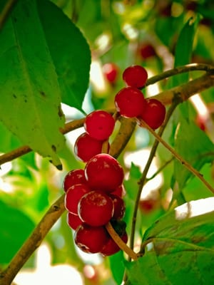 iStock_81146917_SMALL