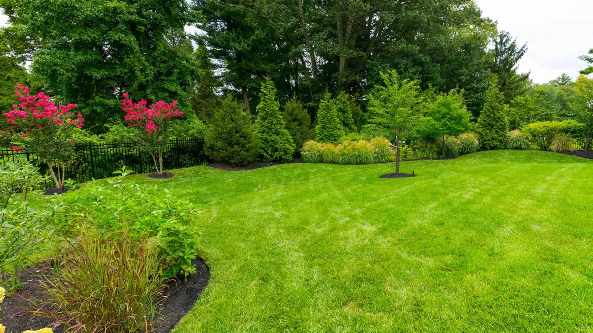 A vibrant, well-maintained garden in Delaware County, PA, features lush green grass, pink flowering trees, and a variety of shrubs. Complemented by expert landscaping services, the garden is bordered by a black fence and surrounded by dense trees under a cloudy sky.