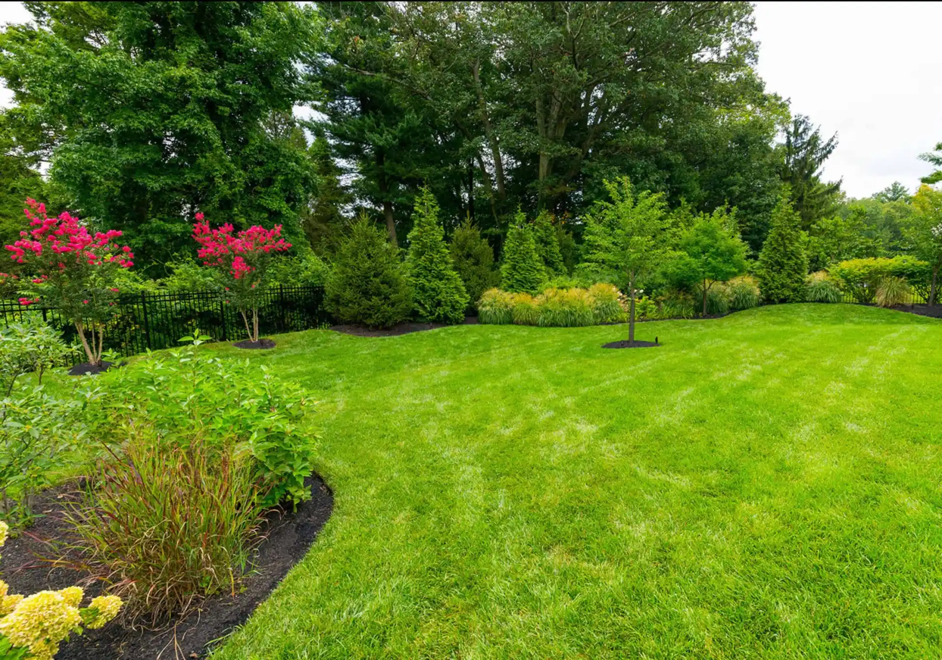 A vibrant, well-maintained garden in Delaware County, PA, features lush green grass, pink flowering trees, and a variety of shrubs. Complemented by expert landscaping services, the garden is bordered by a black fence and surrounded by dense trees under a cloudy sky.