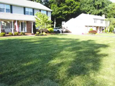 Suburban neighborhood with two white houses surrounded by a well-maintained green lawn. One house features a porch with an American flag, while the other boasts trimmed bushes, likely thanks to top-notch landscaping services in Delaware County, PA. Tall trees cast peaceful shadows on the grass.