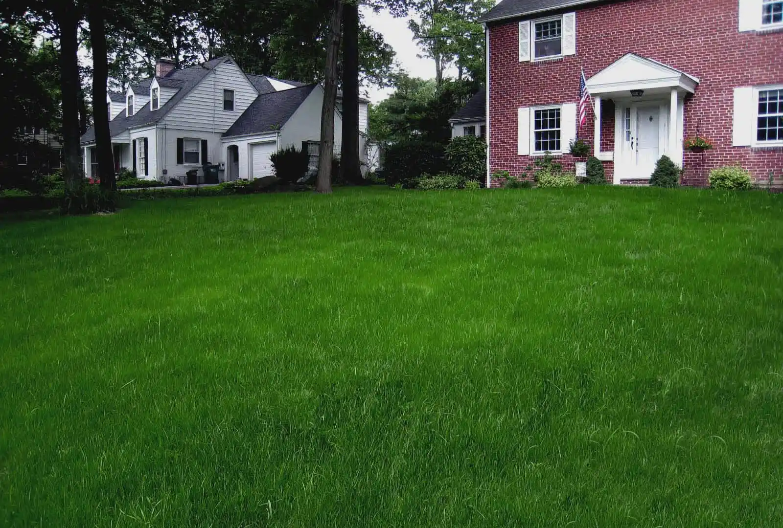 A lush green lawn graces the front of a red brick house with white trim and an American flag by the door. Another white house with dark shutters peeks from behind tall trees, showcasing the charm of outdoor living in Delaware County, PA.