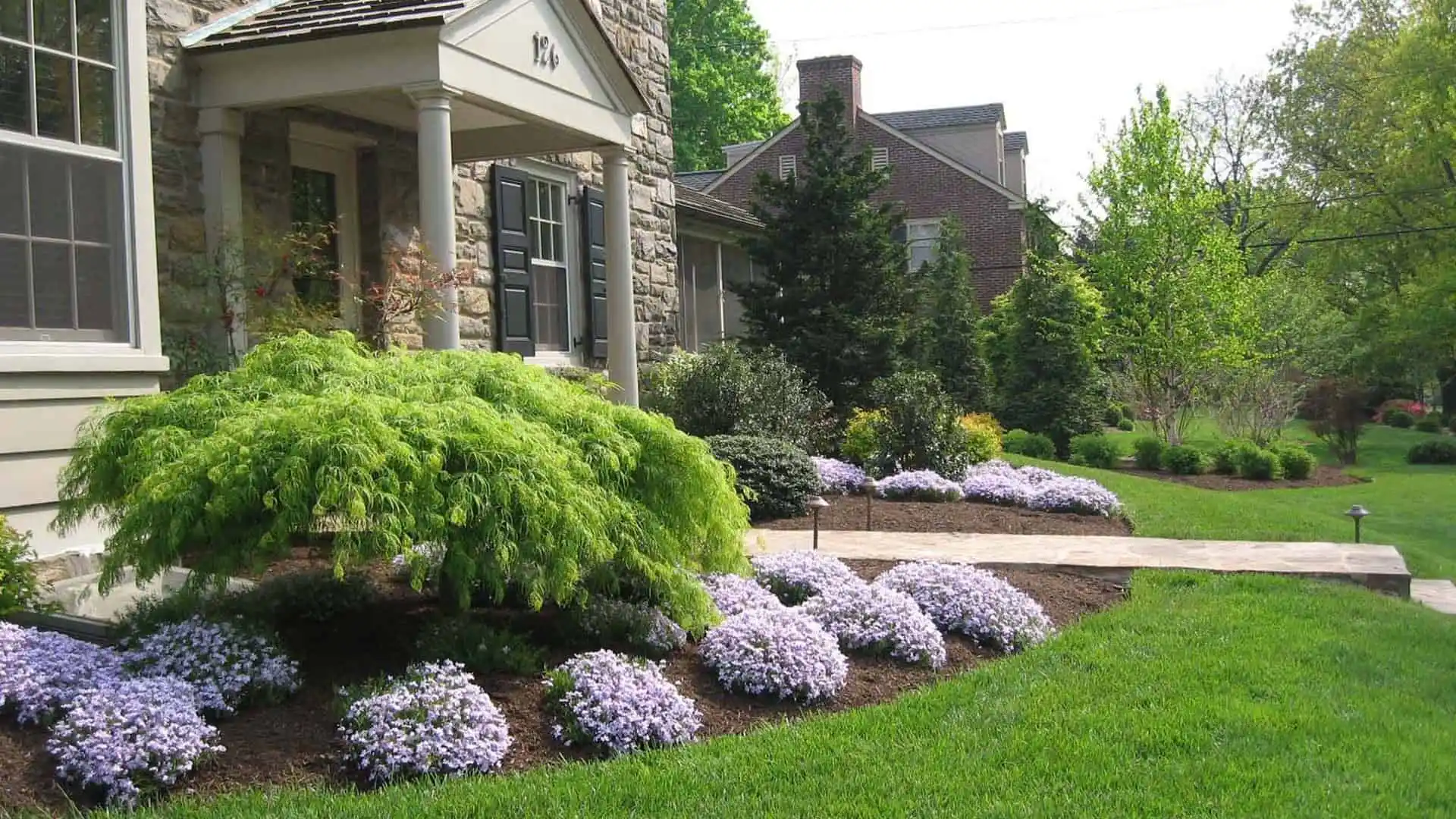 A well-maintained garden in front of a stone house features lush, green bushes and clusters of purple flowers. A stone pathway, the result of expert hardscaping services in Delaware County, PA, leads to the entrance, surrounded by neatly trimmed grass and various shrubs. Another house is visible in the background.