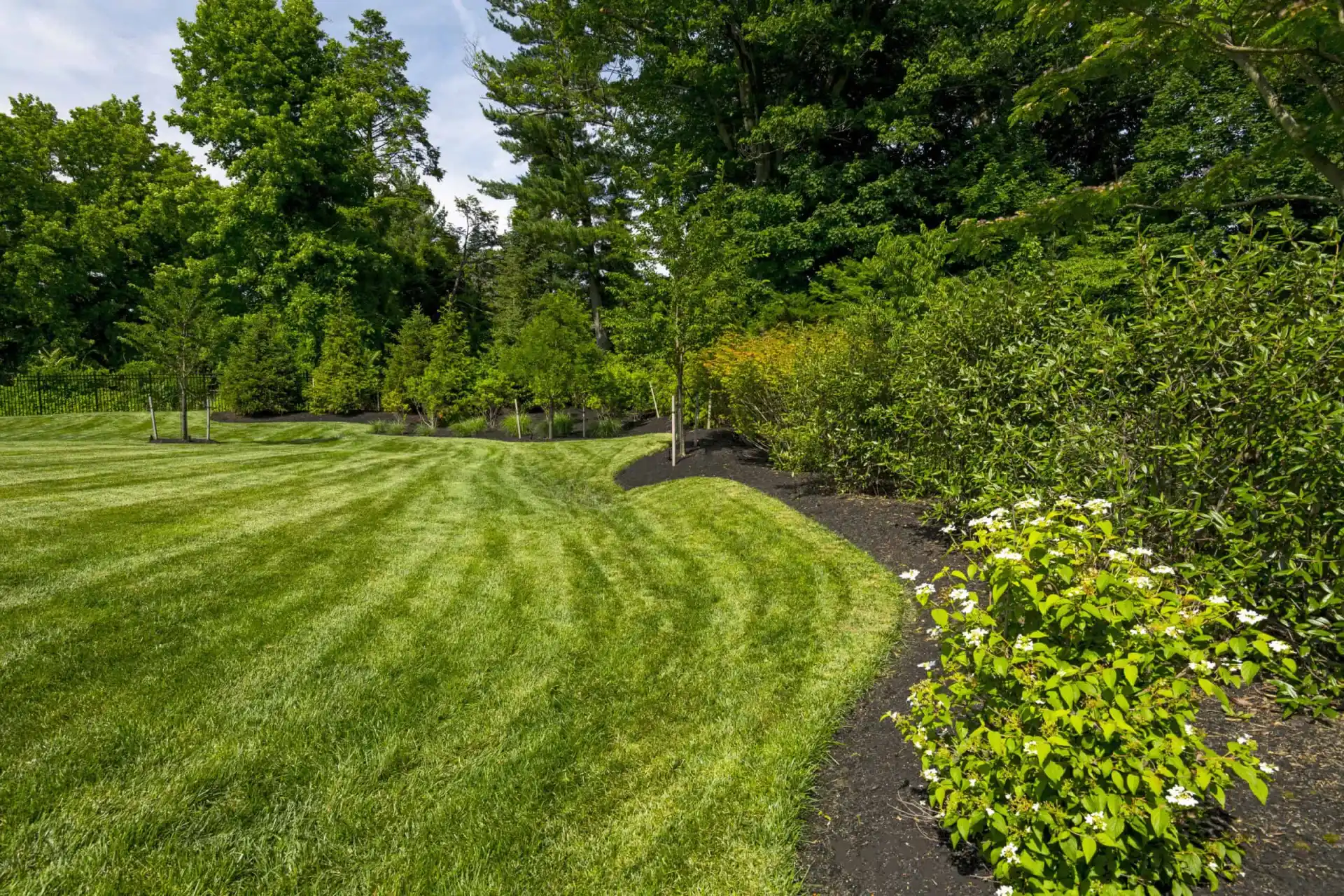A well-maintained lawn with neat, curved mowing lines bordered by landscaped shrubs and trees, under a bright sky with lush greenery in the background.