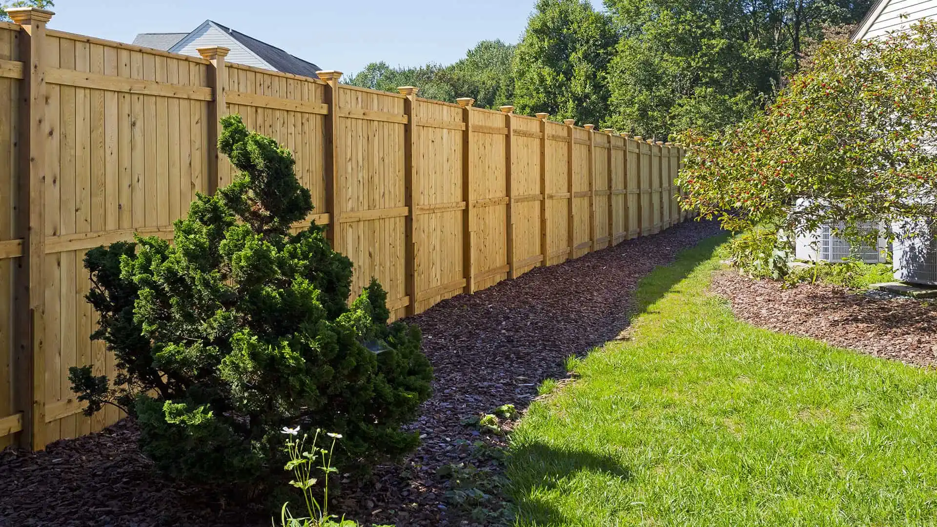 A wooden privacy fence gracefully extends across a landscaped backyard in Delaware County, PA, featuring a manicured lawn and a small evergreen bush. Mulch borders the bush, while a shrub accents the house corner. Trees and clear blue skies highlight this serene outdoor living space.