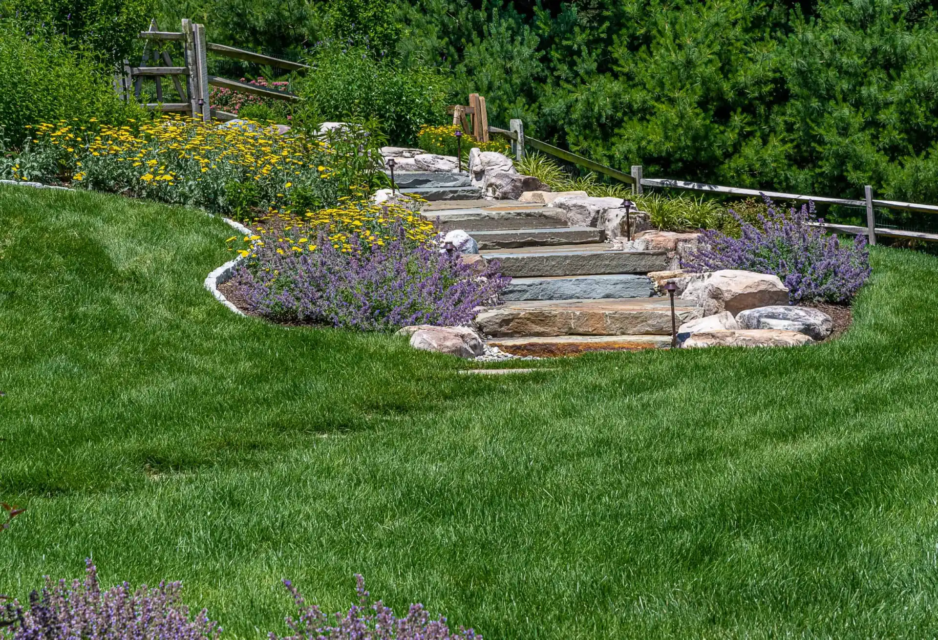 A garden features stone steps bordered by large rocks and lush vegetation. Yellow and purple flowers bloom along the edges, while a wooden fence lines the path. With hardscaping services in Delaware County PA, create an inviting outdoor living space amid well-maintained green grass.