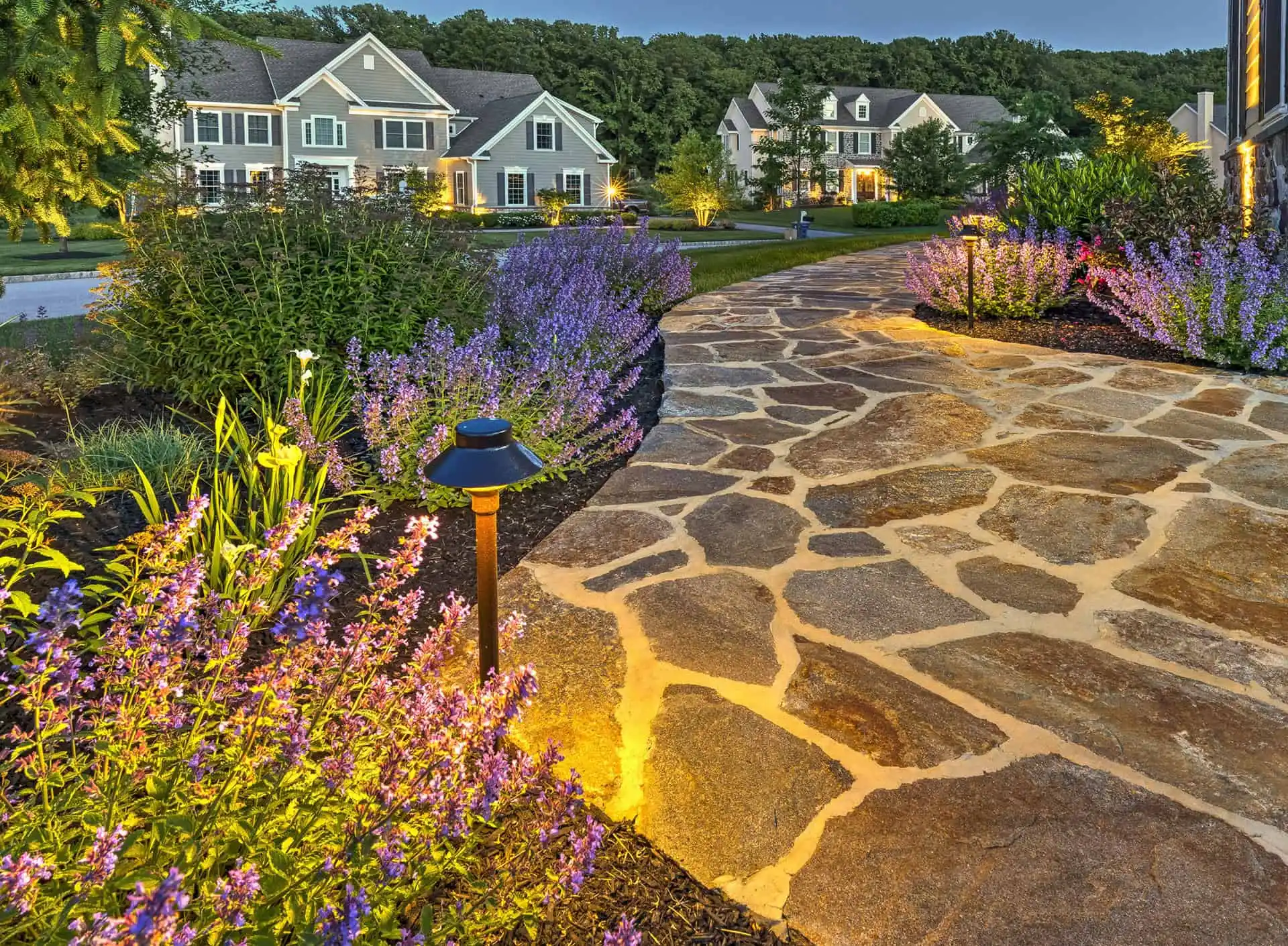 A stone pathway bordered by purple flowers and landscape lighting leads to houses in a suburban neighborhood during dusk, with trees and manicured lawns in the background.