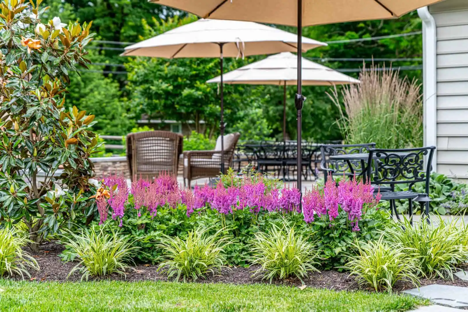A tranquil garden with pink flowers, ornamental grasses, and a magnolia tree. Wicker and metal chairs sit alongside tables with beige umbrellas on a stone patio. Lush greenery embraces this serene outdoor living space in Delaware County, PA.