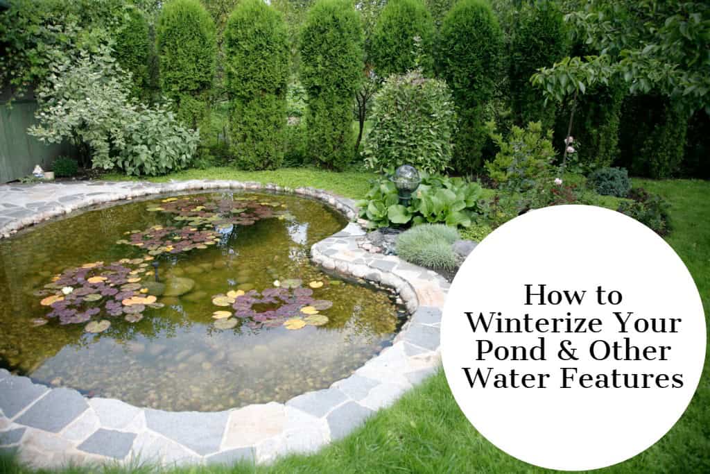 Watch Our How to Winterize Your Pond Video